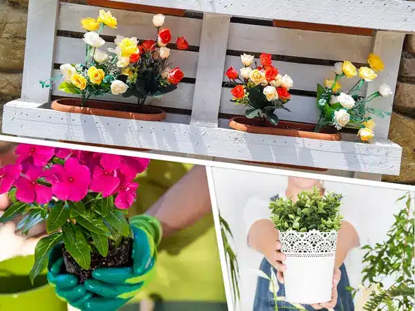 paleta sa žardinjerama za cveće saksija sa cvećem i presadjivanje cveća